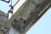IMG_1913
