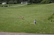 IMG_1923