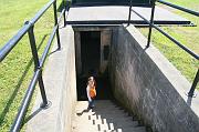 IMG_1939