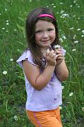 IMG_4240