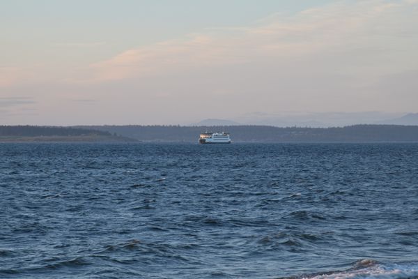 DSC_0471.JPG