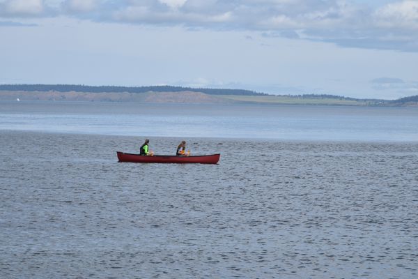 DSC_0532.JPG