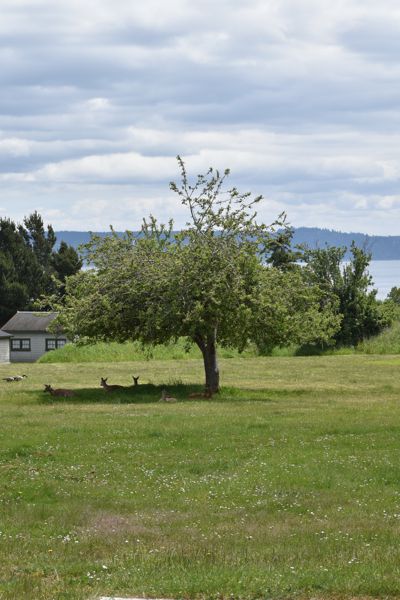 DSC_0539.JPG