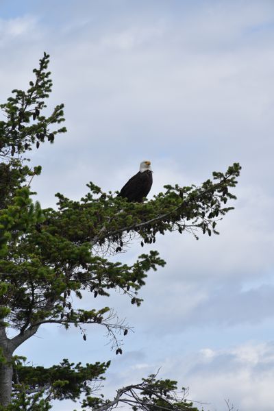 DSC_0541.JPG