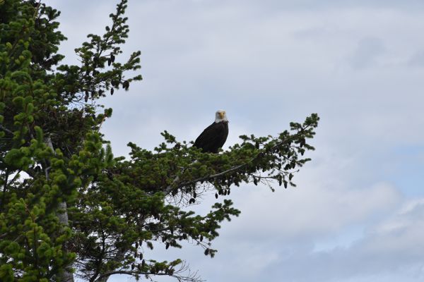 DSC_0544.JPG