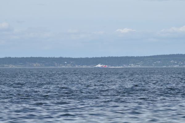 DSC_0577.JPG