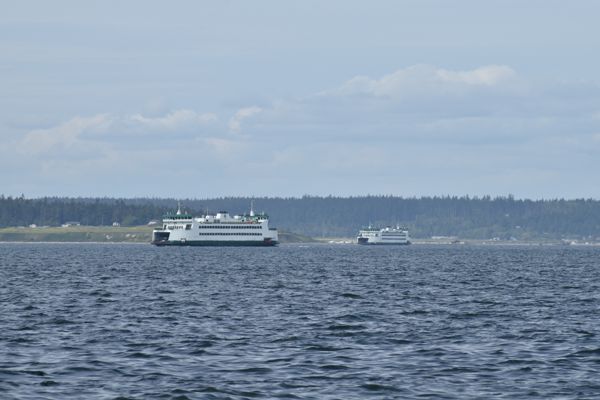 DSC_0580.JPG