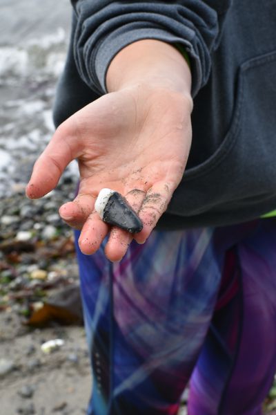 DSC_0600.JPG