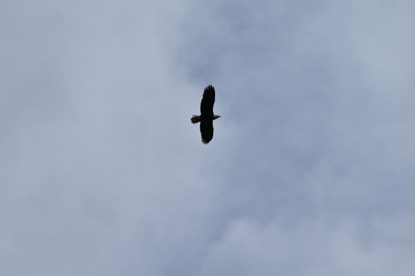 DSC_0601.JPG