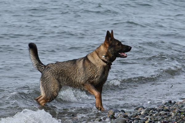 DSC_0625.JPG
