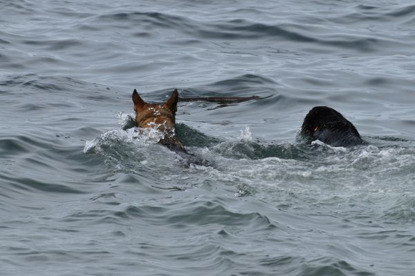 DSC_0630.JPG