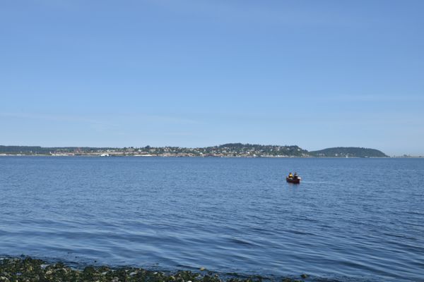 DSC_0709.JPG