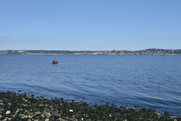 DSC_0710.JPG