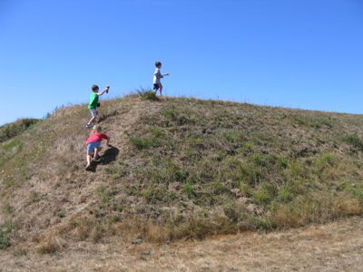 IMG_2545.JPG