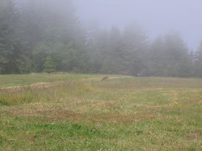 NIMG_1799.JPG
