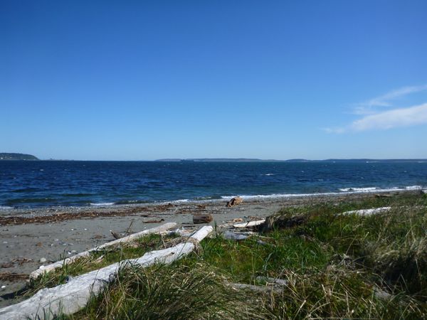 P1010290.JPG