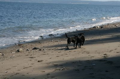 IMG_1184.JPG
