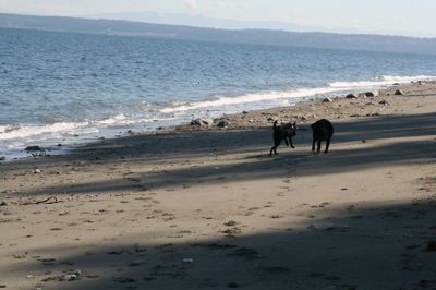 IMG_1185.JPG