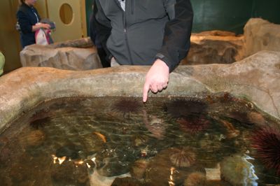 IMG_1291.JPG