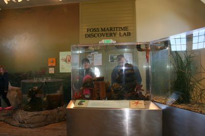 IMG_1329.JPG