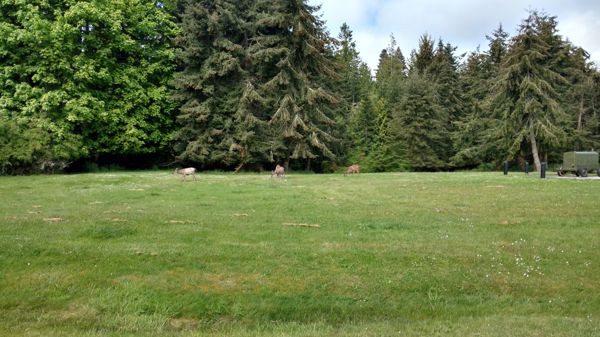 IMG_20170513_112252814_HDR.jpg