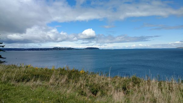 IMG_20170513_114501485.jpg