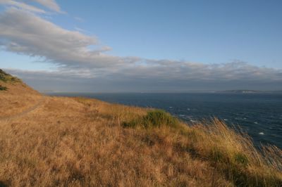 IMG_3776.JPG