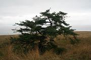 IMG_5392