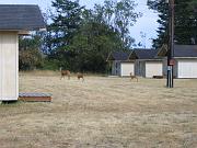 IMG_2977