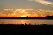 IMG_3984