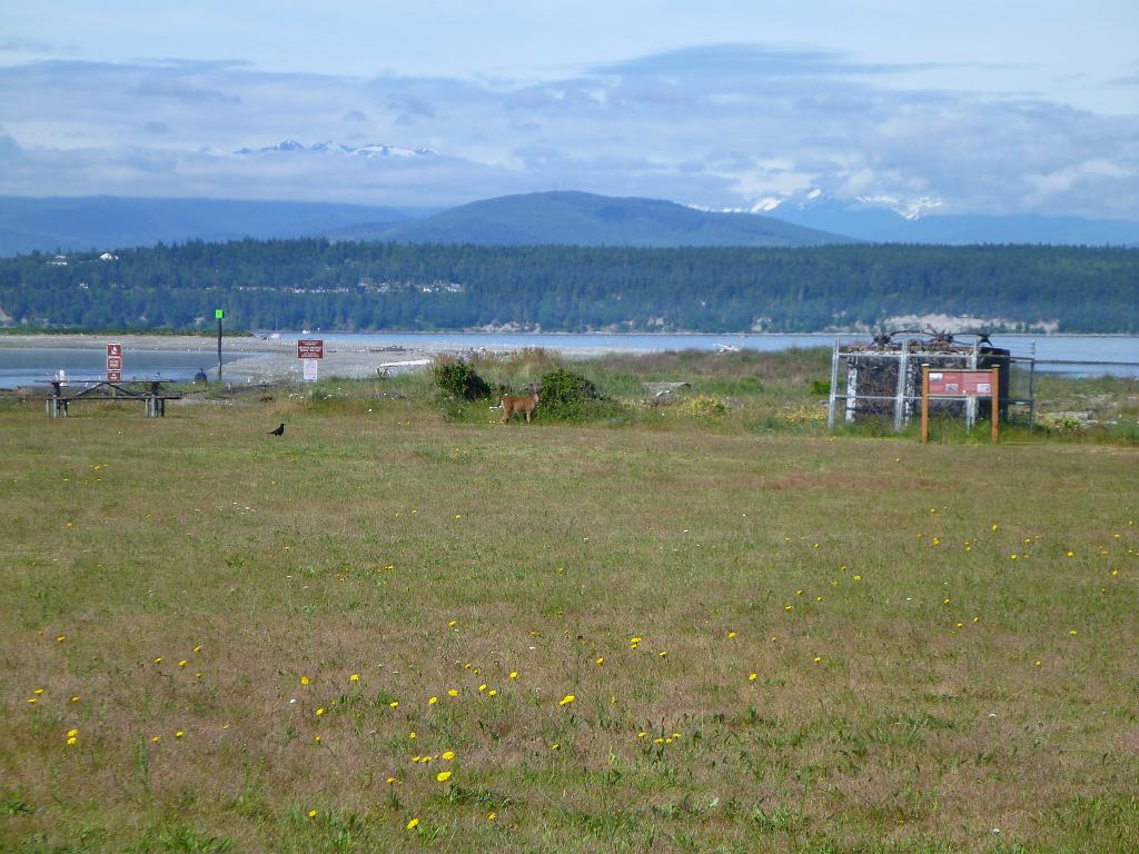 p1000402