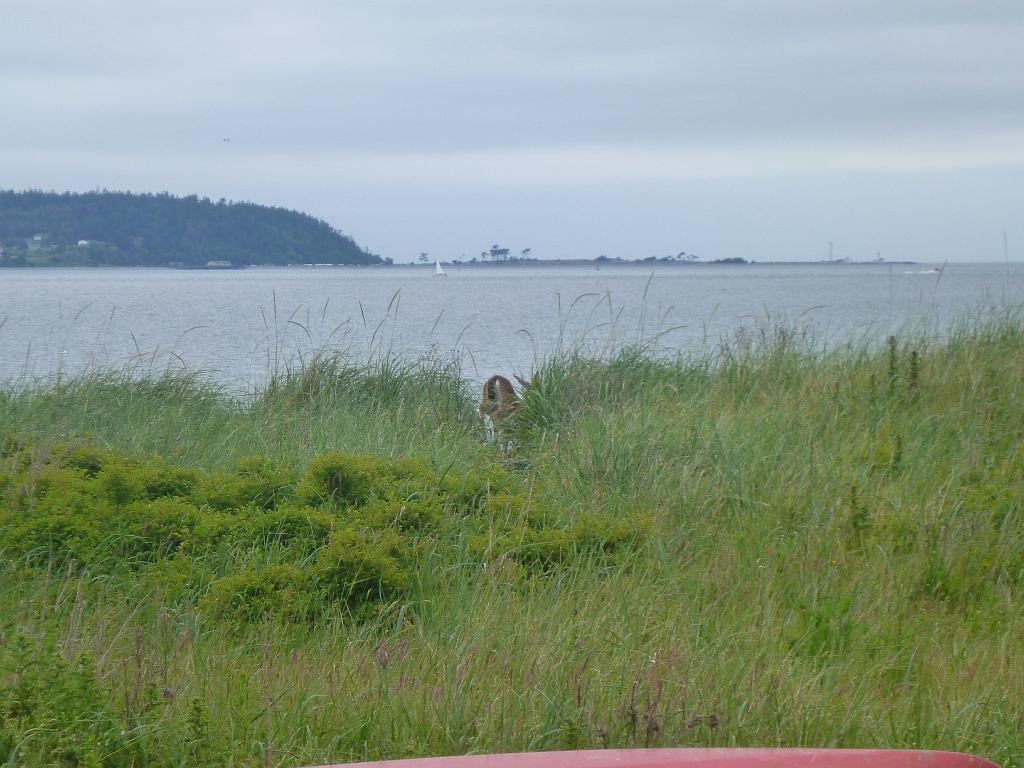 p1000439