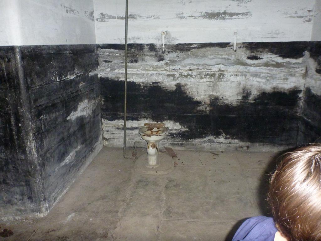 p1000446