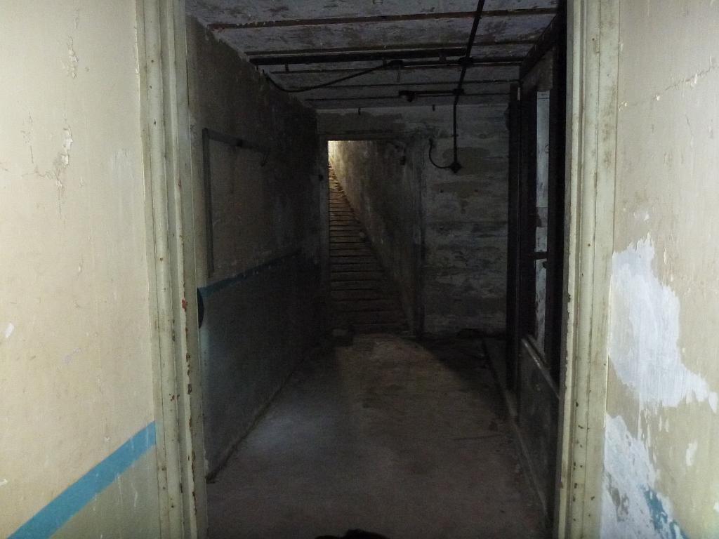 p1000447