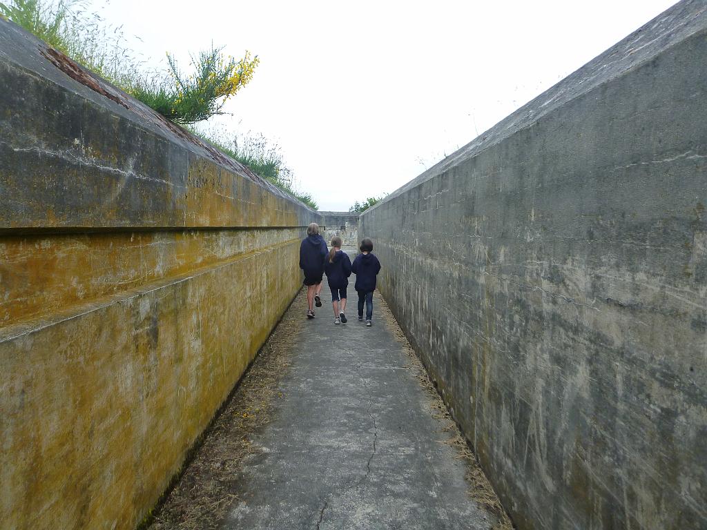 p1000462