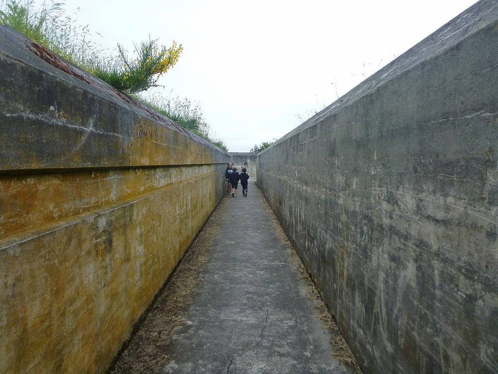 p1000464