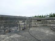 p1000442