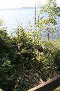IMG_1359