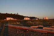 IMG_1446