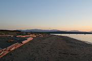 IMG_1455