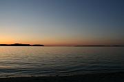 IMG_1479