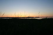 IMG_1496
