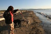 IMG_8304
