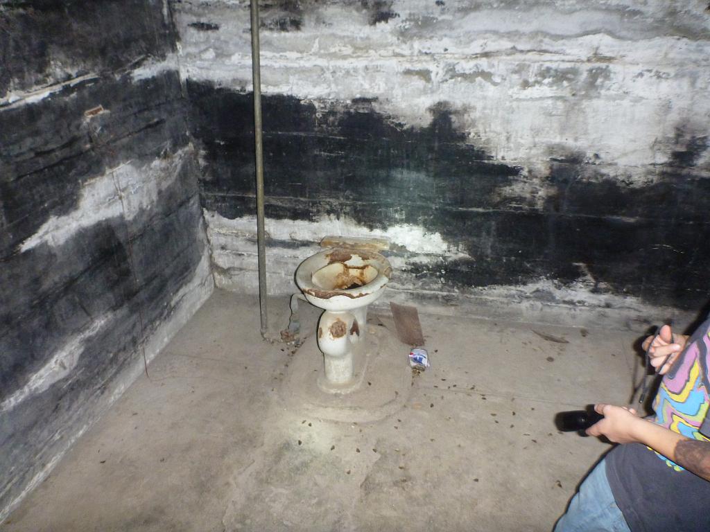 p1000176