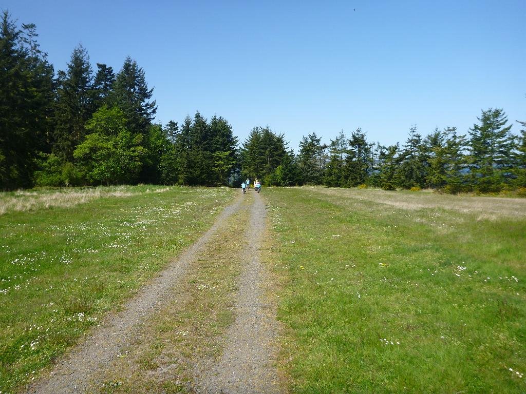 p1000183