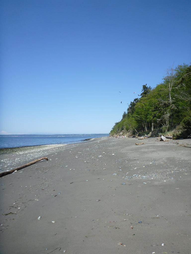 p1000197