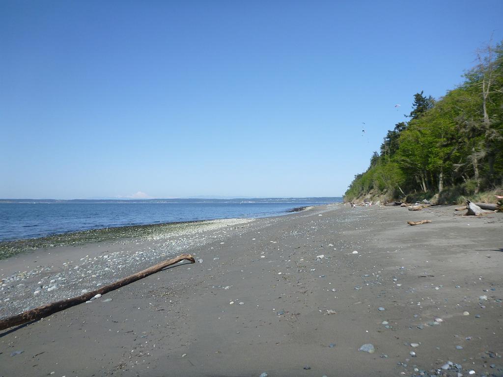 p1000199