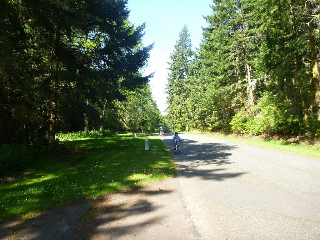 p1000231