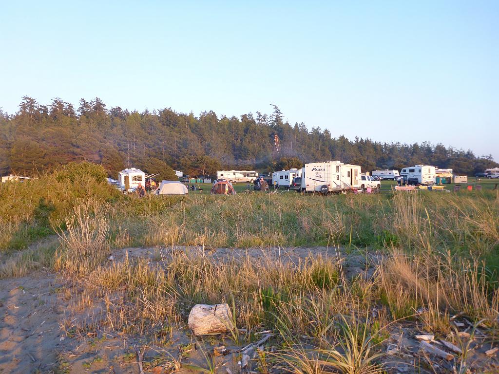p1000239