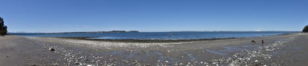 DSC_2256-DSC_2261.jpg